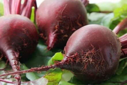 Betteraves rondes nouvelles bio Les Paniers Davoine