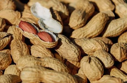 Amandes bio en coque Les Paniers Davoine