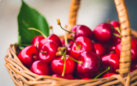 Cerises bio de Provence Les Paniers Davoine