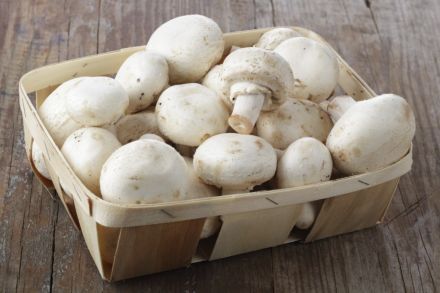 Champignons bio de Paris Les Paniers Davoine