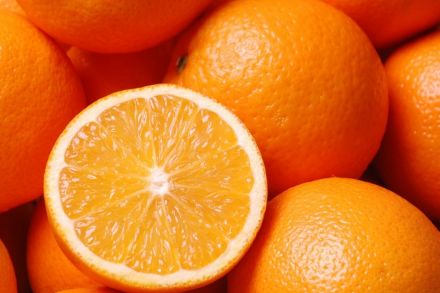 Oranges bio Navel Late Provence Les Paniers Davoine