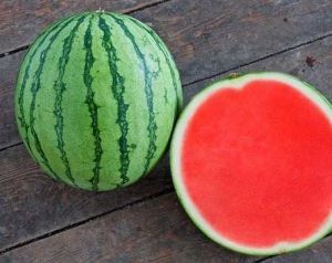 Pastèque tigrée bio Provence Les Paniers Davoine