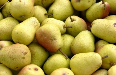 Poires Williams bio Les Paniers Davoine