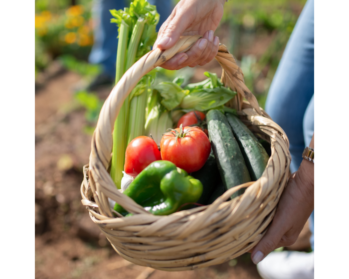 Panier de légumes Bio Les Paniers Davoine