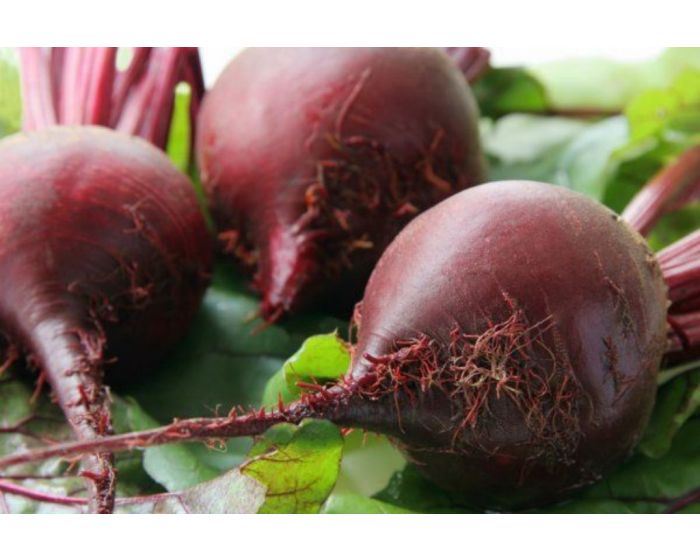 Betteraves rondes nouvelles bio Les Paniers Davoine