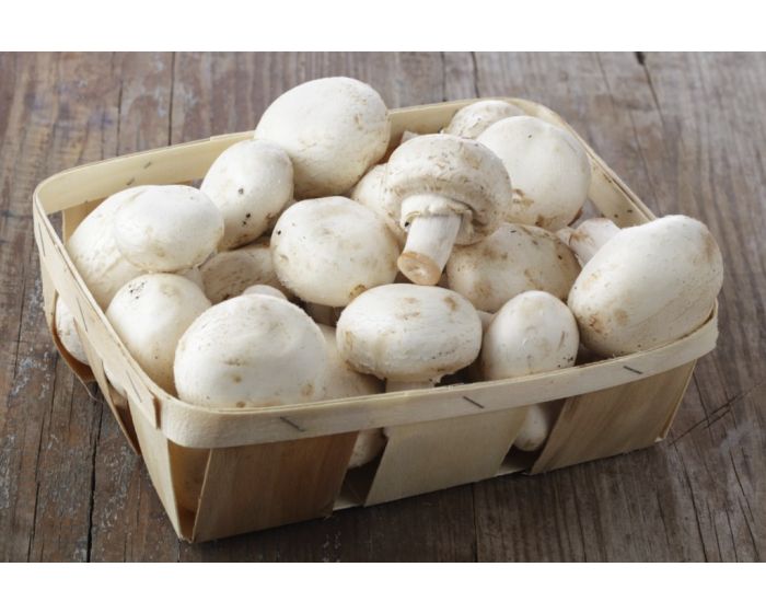 Champignons bio de Paris Les Paniers Davoine