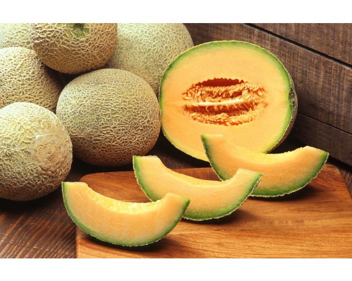 Melon bio calibre 12 provence paniers davoine