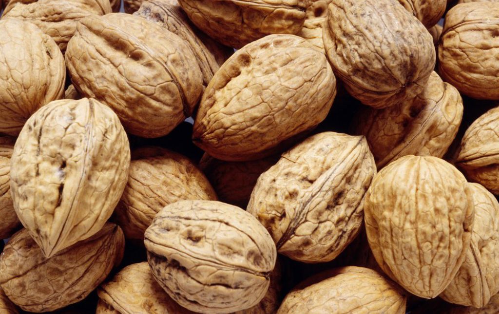 Noix Bio