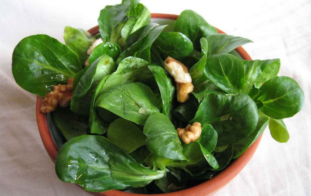 Salade Mache Bio