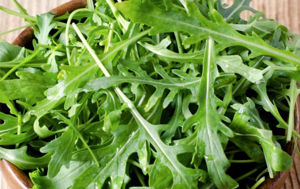 Salade Roquette Bio