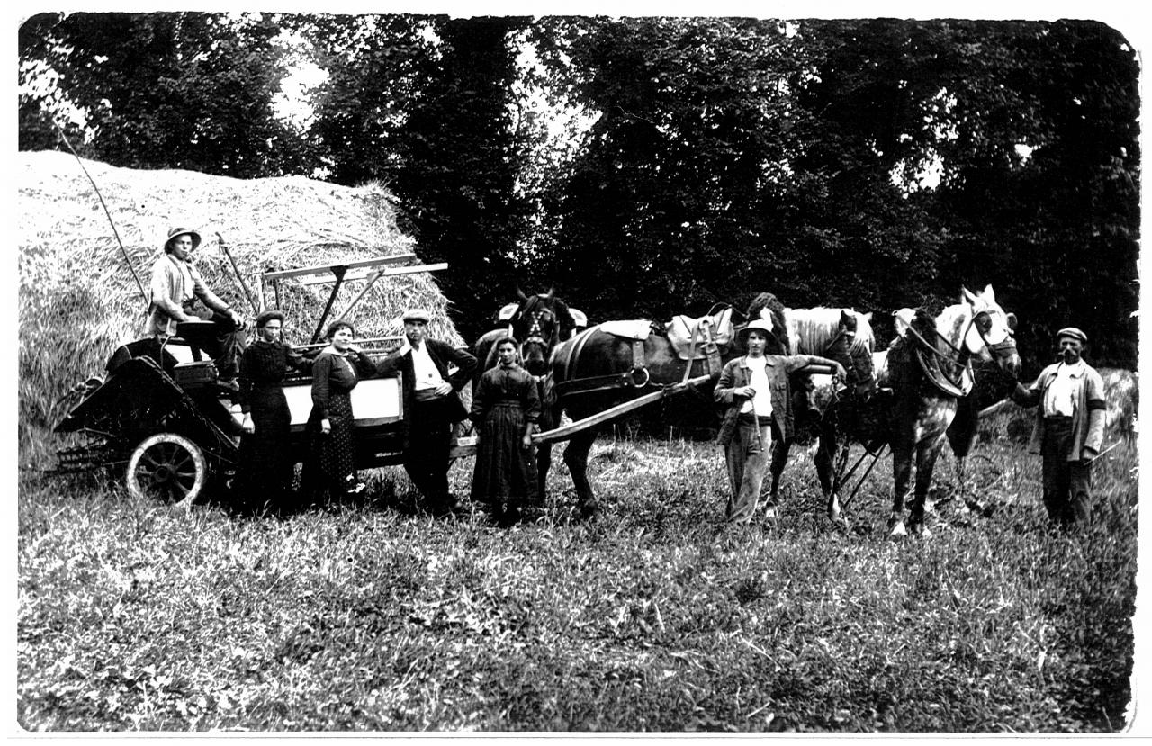 Le bio en 1914