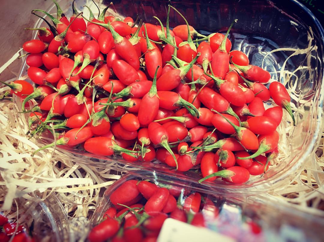 Eternelle jeunesse en Provence !