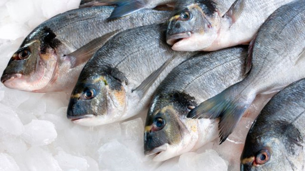 Nouveau : colis de poisson bio !