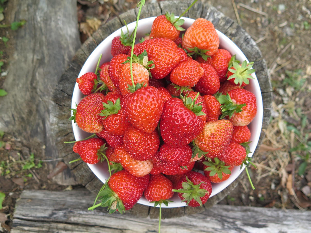 Mangez des FRAISES, pas du sucre !