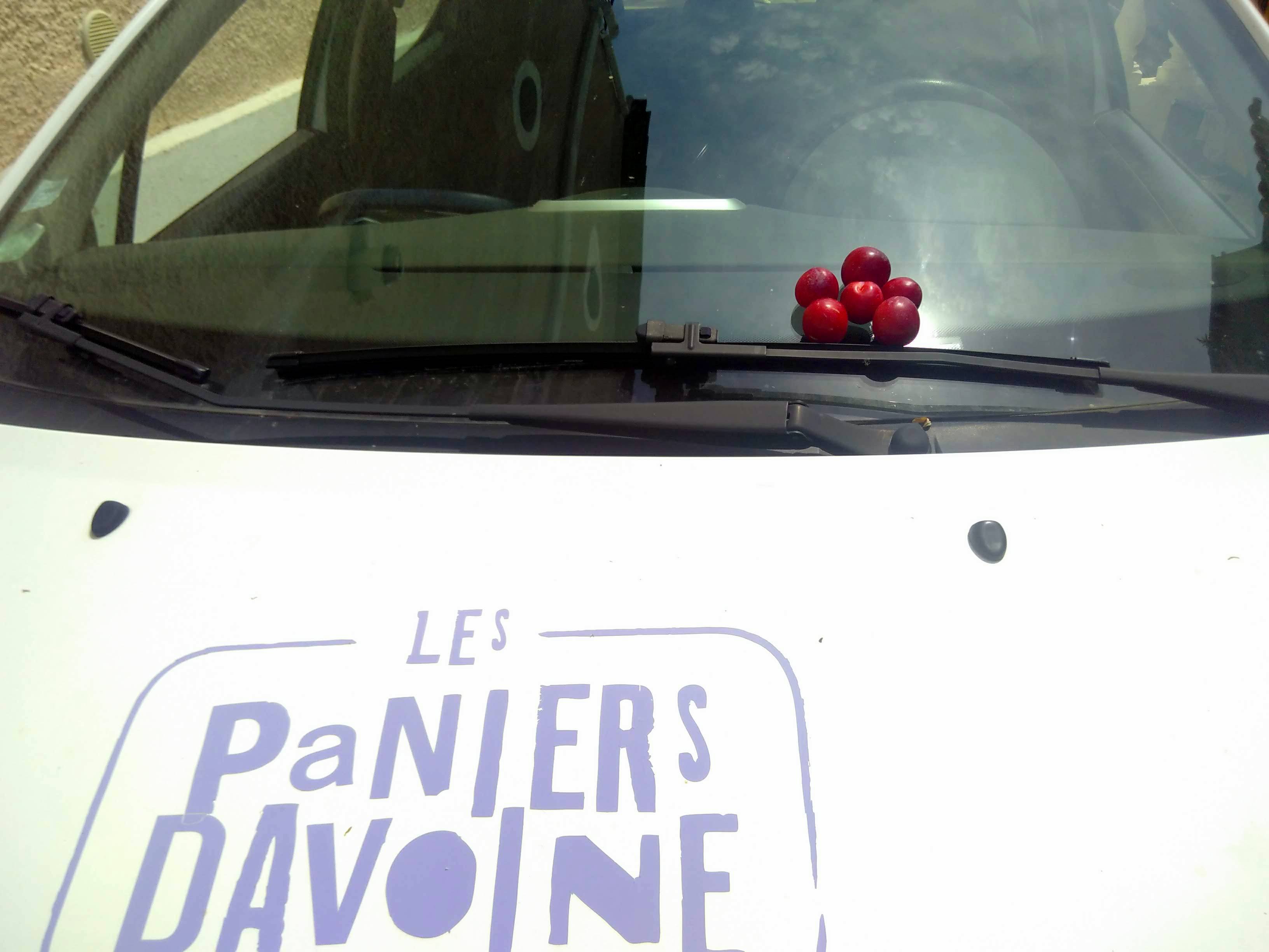 J'ai encore pris une prune !