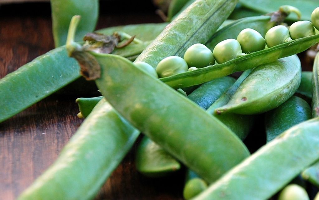 Un petit pois pour l'homme...