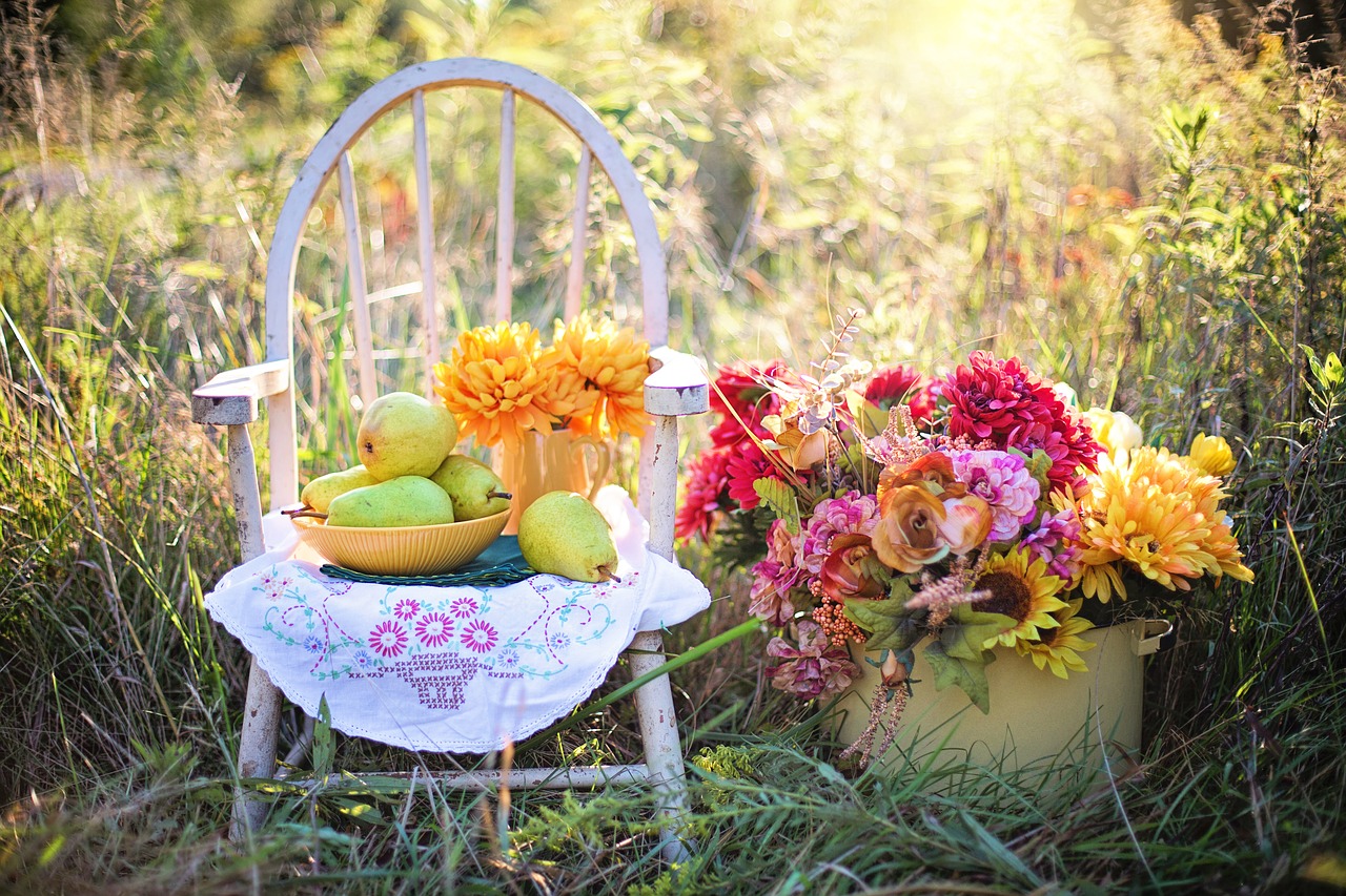 J'achète, donc j'agis : Descartes, des fruits et des légumes bio